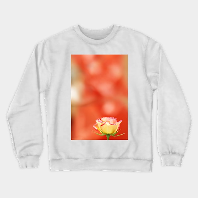 Small yellow rose Crewneck Sweatshirt by RebecaZum